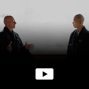 ZEN －Find the Light－(Anglais)