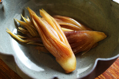 Brotes de jengibre myoga adobados en miso