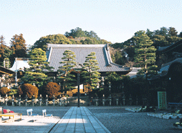 La majestueuse salle du Dharma au sein d'un luxuriant bosquet d'arbres vert foncé