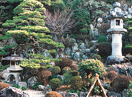 La quiete del giardino in stile giapponese calma lo spirito dei visitatori.