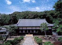 Magnificent cherry trees in full bloom at the Koshoji