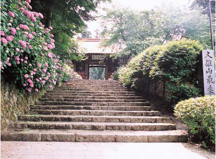 Des hortensias bordent l'allée menant à la porte Sanmon.