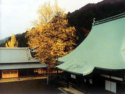 Main Hall and garden at dawn