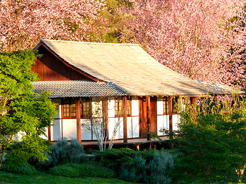 Templo Zen Taikanji