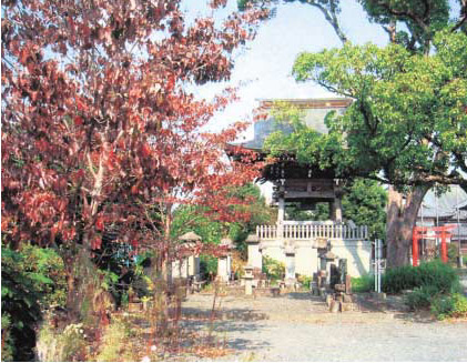 The bell in the bell tower beyond the trees is a designated National Important Cultural Property.