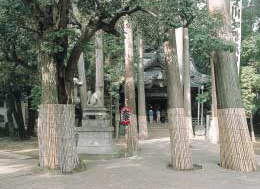 O edifício Oku-no-in